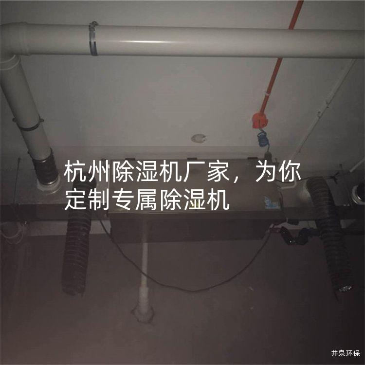 杭州除湿机厂家，为你定制专属除湿机