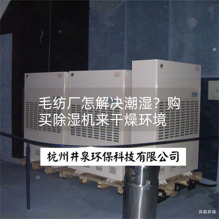 毛纺厂怎解决潮湿？购买除湿机来干燥环境