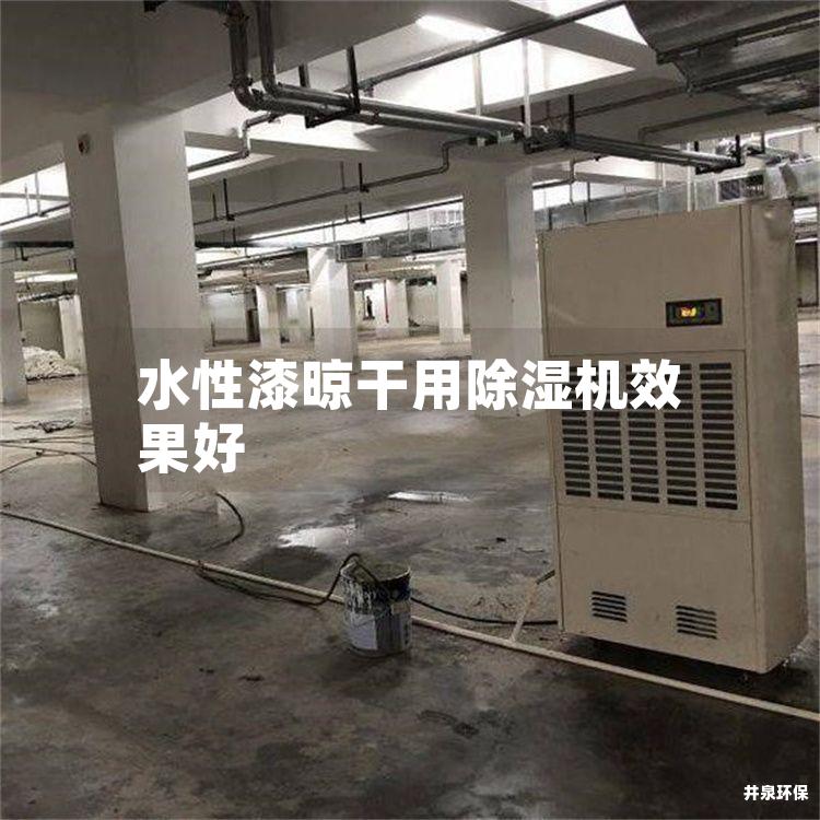 水性漆晾干用除湿机效果好 水性漆晾干用除湿机效果好