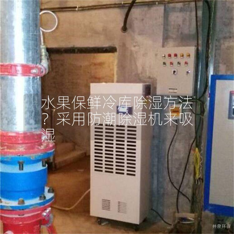 水果保鲜冷库除湿方法？采用防潮除湿机来吸湿