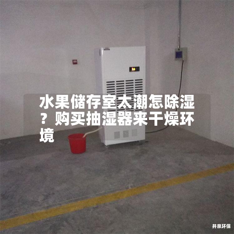 水果储存室太潮怎除湿？购买抽湿器来干燥环境