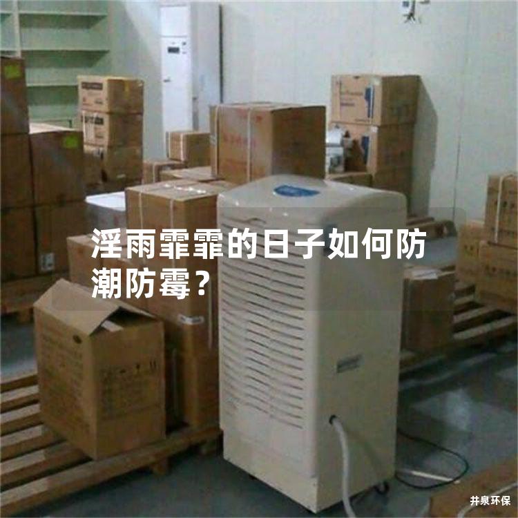 淫雨霏霏的日子如何防潮防霉？