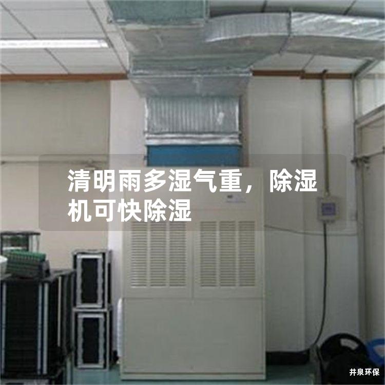 清明雨多濕氣重，除濕機可快除濕