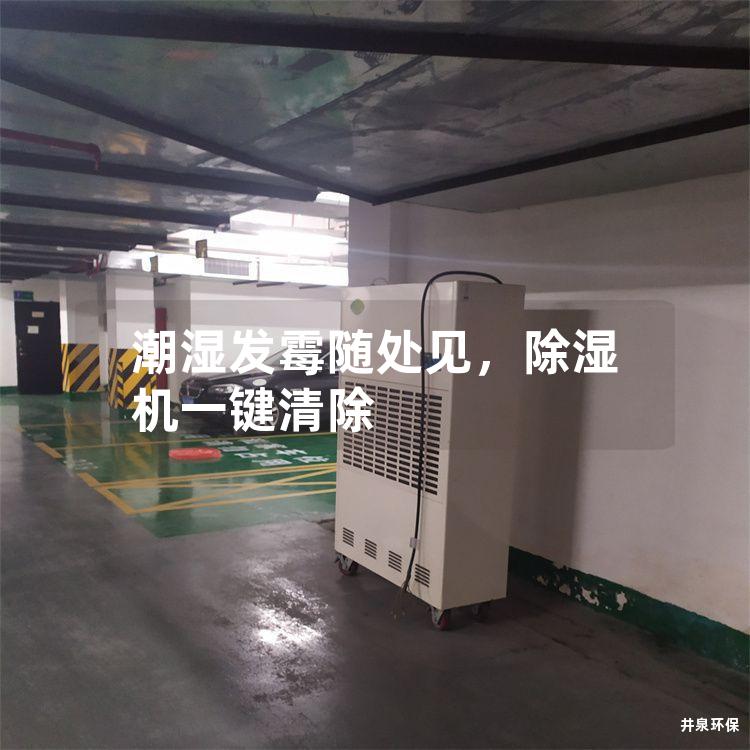 潮湿发霉随处见，除湿机一键清除