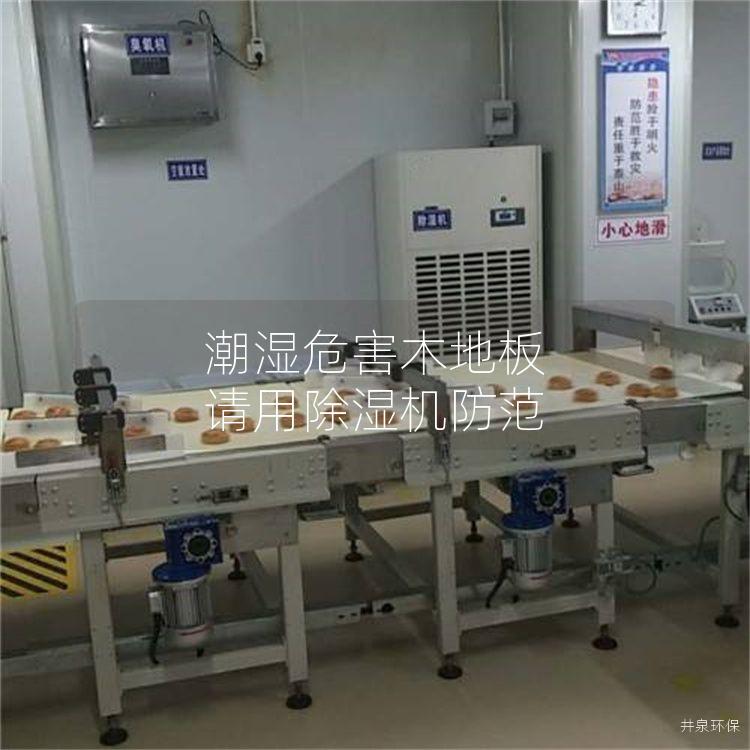 潮湿危害木地板 请用除湿机防范