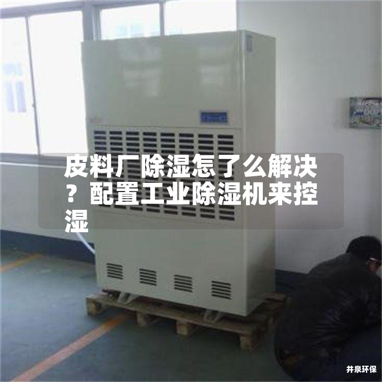 皮料厂除湿怎了么解决？配置工业除湿机来控湿