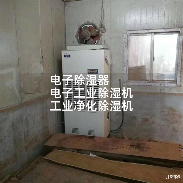 电子除湿器 电子工业除湿机 工业净化除湿机