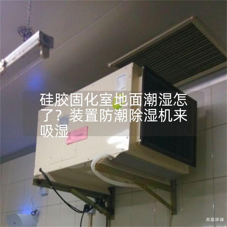 硅膠固化室地面潮濕怎了？裝置防潮除濕機來吸濕