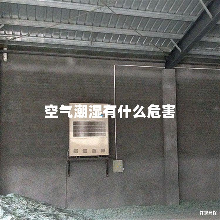 空气潮湿有什么危害
