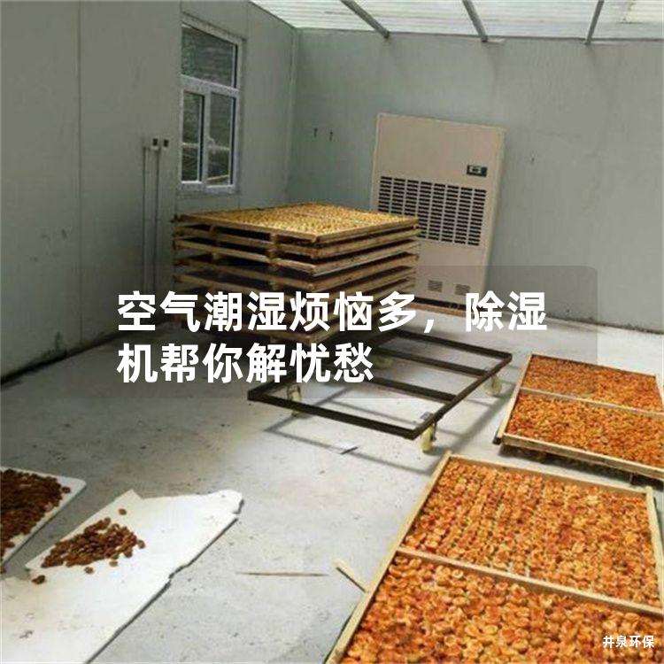 空氣潮濕煩惱多，除濕機幫你解憂愁