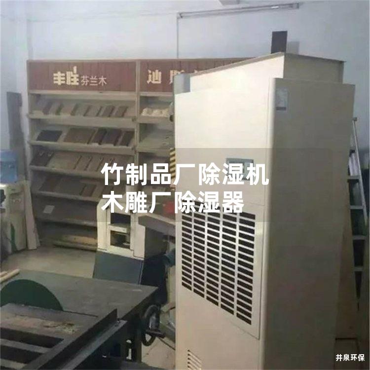 竹制品厂除湿机 木雕厂除湿器