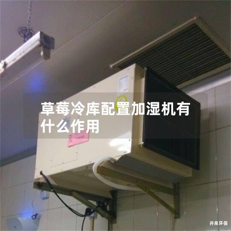 草莓冷库配置加湿机有什么作用