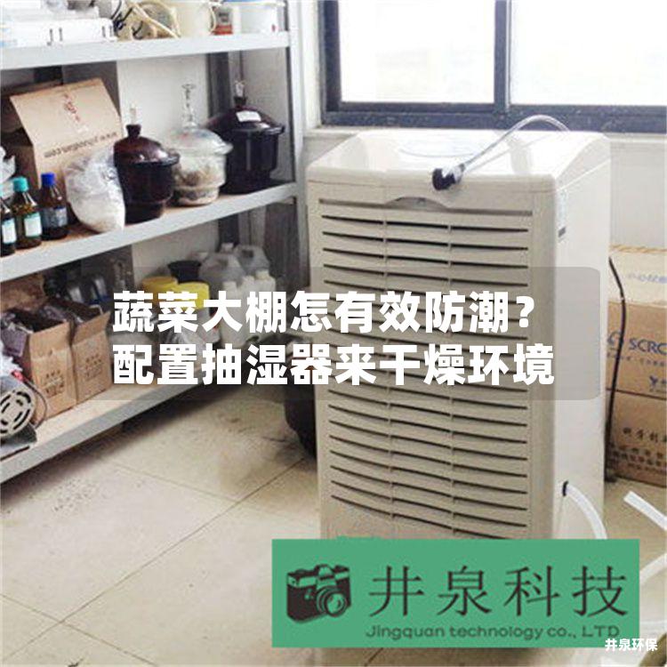 蔬菜大棚怎有效防潮？配置抽濕器來干燥環(huán)境