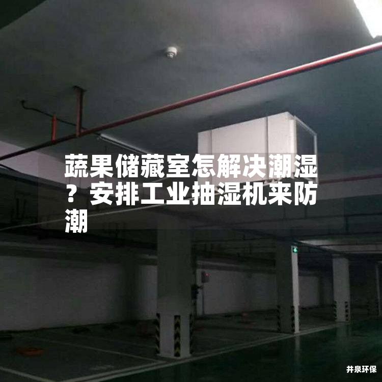蔬果储藏室怎解决潮湿？安排工业抽湿机来防潮