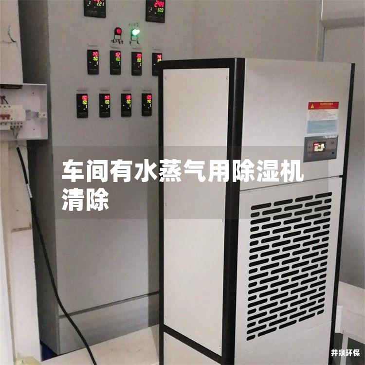 车间有水蒸气用除湿机清除