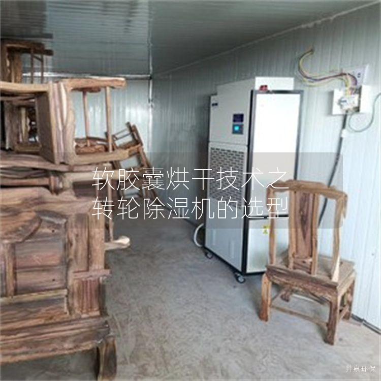 軟膠囊烘干技術(shù)之 轉(zhuǎn)輪除濕機(jī)的選型