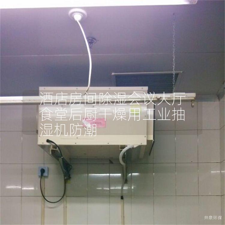 酒店房間除濕會議大廳食堂后廚干燥用工業(yè)抽濕機防潮