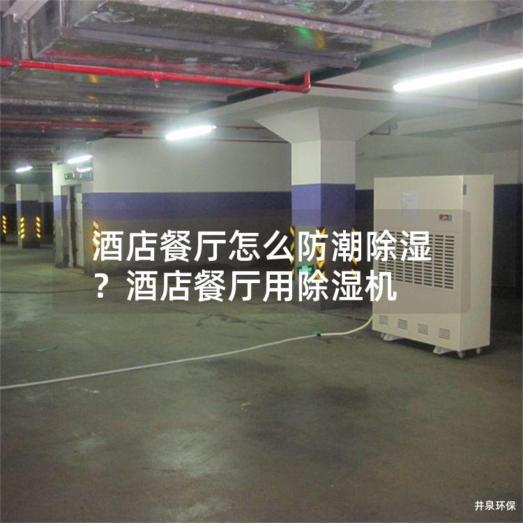 酒店餐廳怎么防潮除濕？酒店餐廳用除濕機