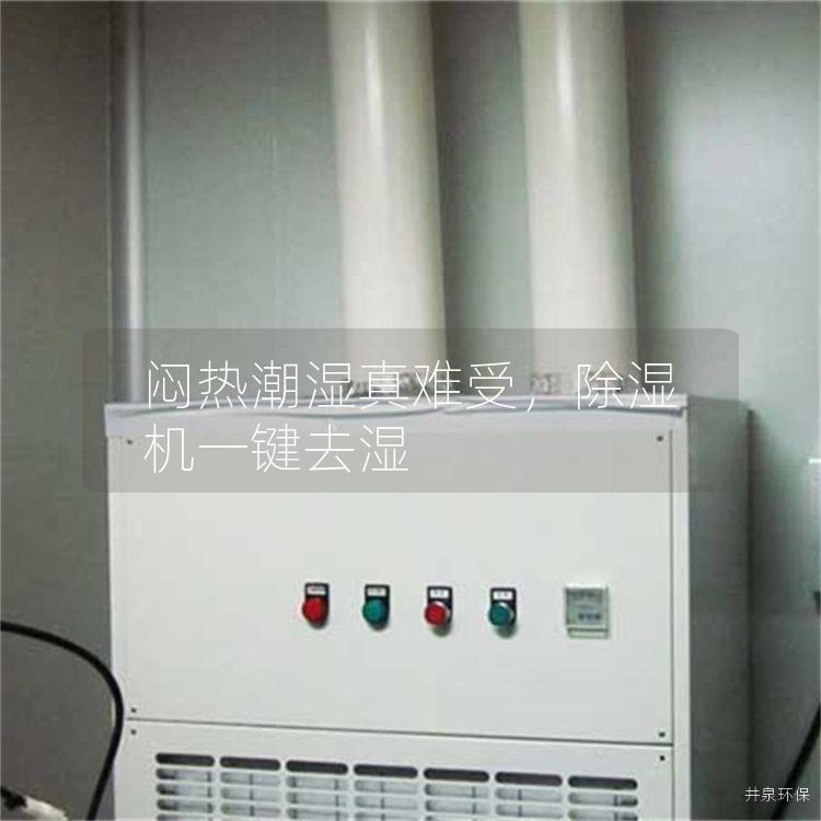 闷热潮湿真难受，除湿机一键去湿