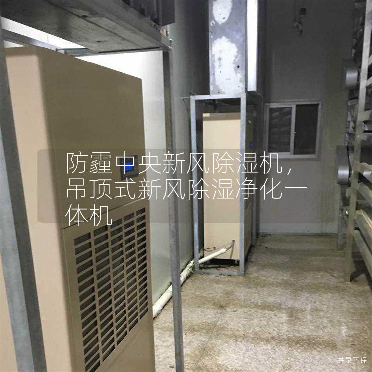 防霾中央新风除湿机，吊顶式新风除湿净化一体机