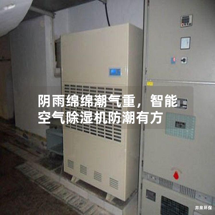 陰雨綿綿潮氣重，智能空氣除濕機防潮有方