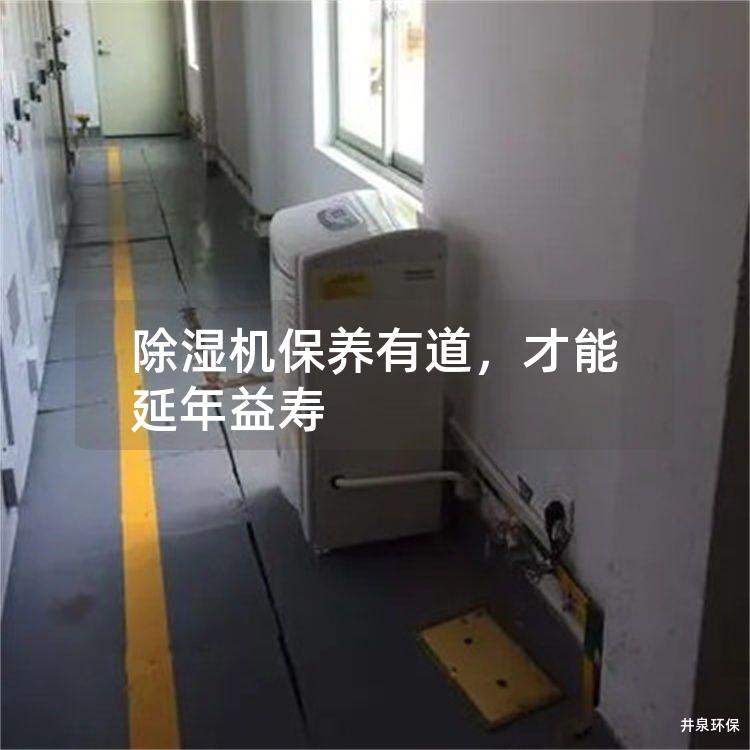 除湿机保养有道，才能延年益寿