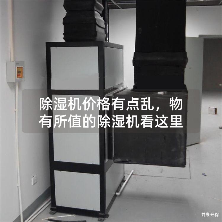 除湿机价格有点乱，物有所值的除湿机看这里