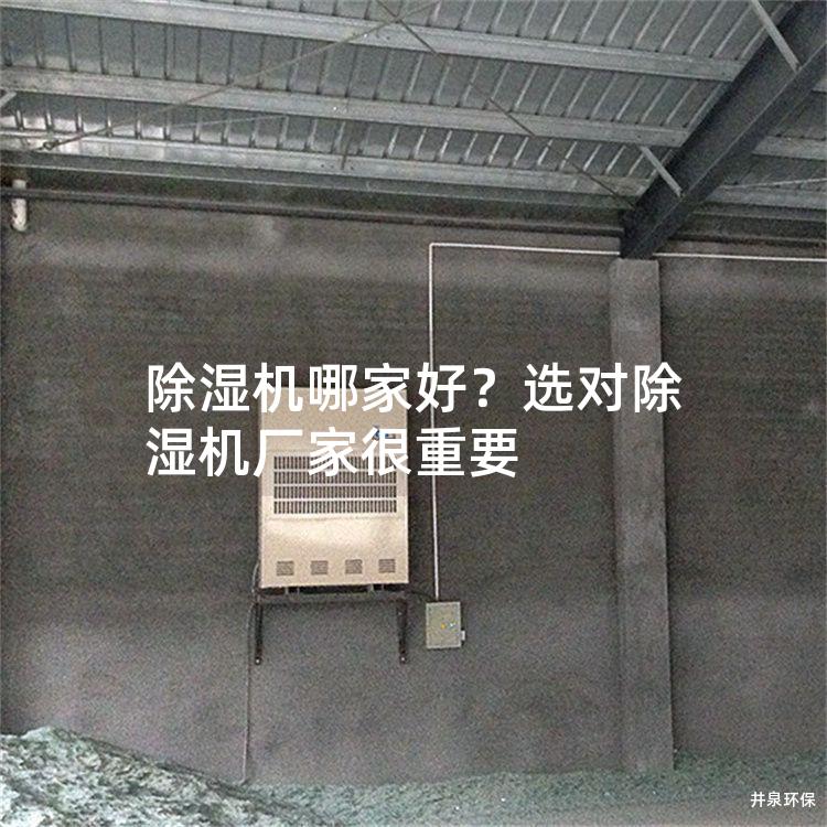 除湿机哪家好？选对除湿机厂家很重要