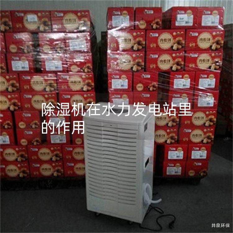 除湿机在水力发电站里的作用