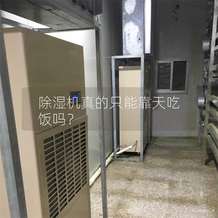 除湿机真的只能靠天吃饭吗？