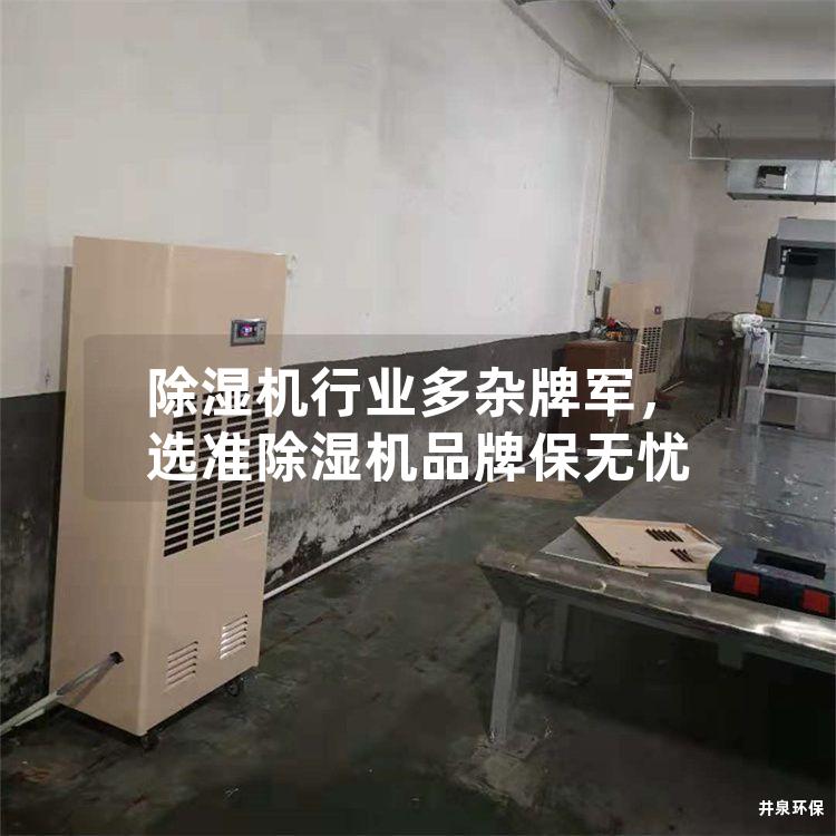 除湿机行业多杂牌军，选准除湿机品牌保无忧
