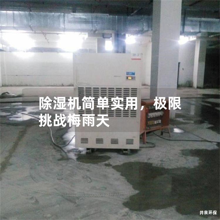 除湿机简单实用，极限挑战梅雨天