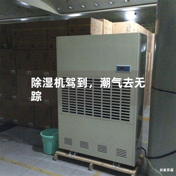 除湿机驾到，潮气去无踪