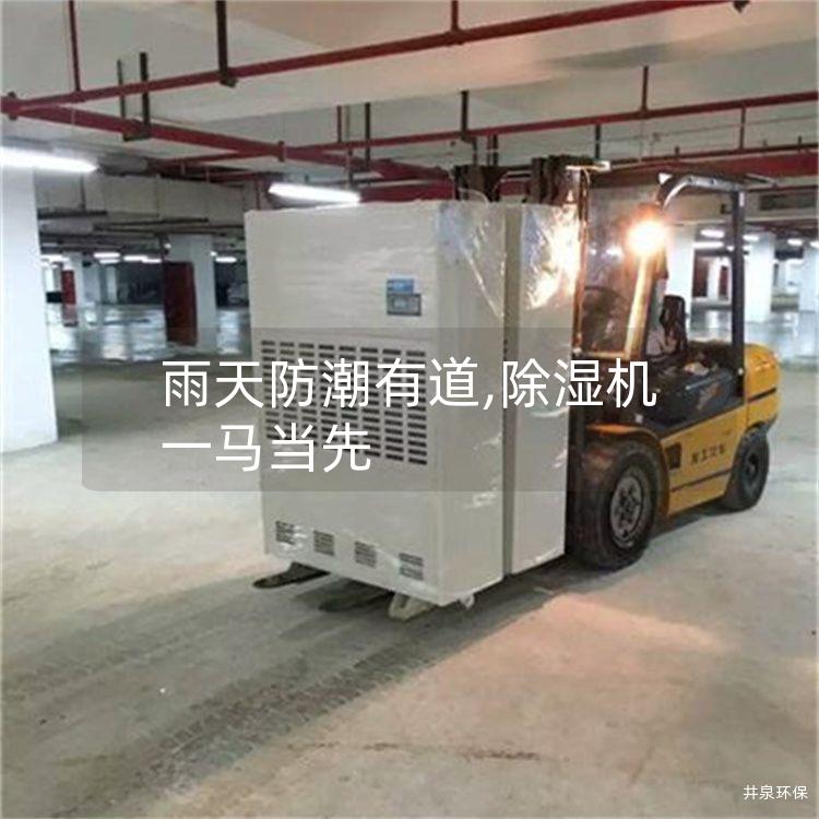 雨天防潮有道,除湿机一马当先 雨天防潮有道,除湿机一马当先