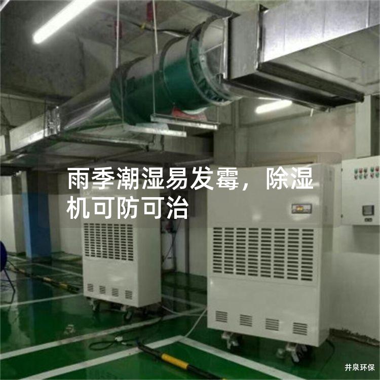 雨季潮湿易发霉，除湿机可防可治