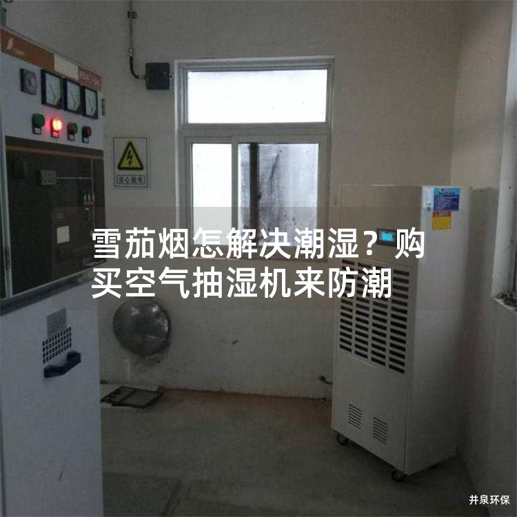 雪茄烟怎解决潮湿？购买空气抽湿机来防潮