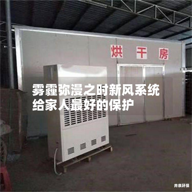 雾霾弥漫之时新风系统给家人*好的保护