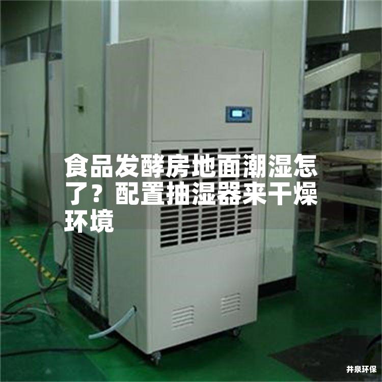 食品发酵房地面潮湿怎了？配置抽湿器来干燥环境