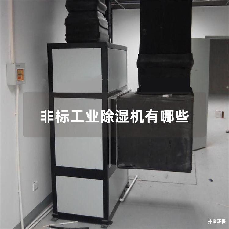 非标工业除湿机有哪些