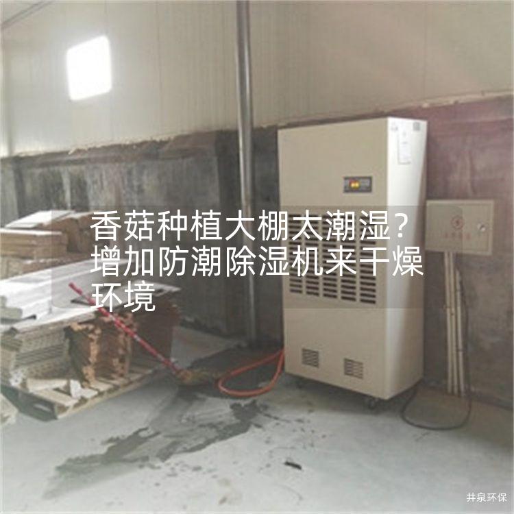 香菇种植大棚太潮湿？增加防潮除湿机来干燥环境