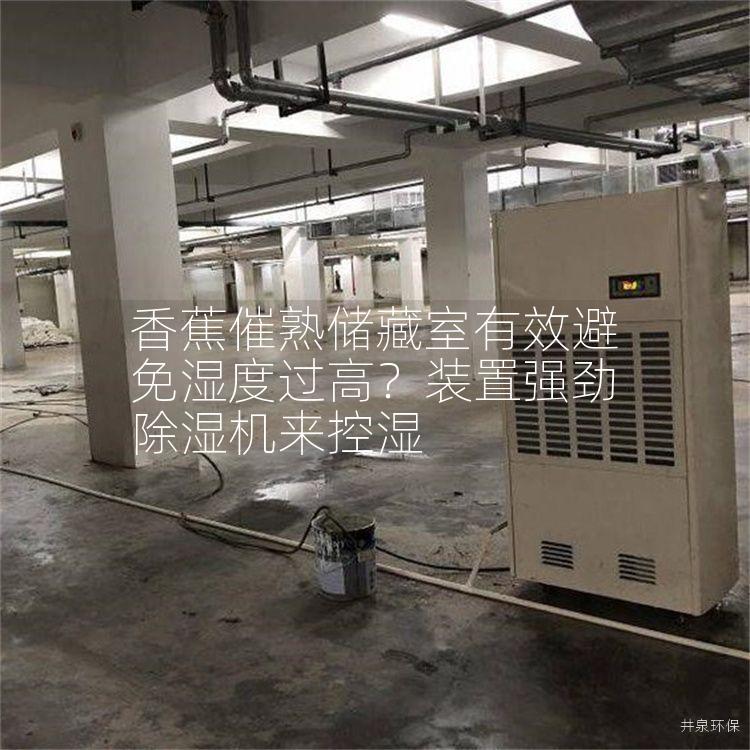 香蕉催熟储藏室有效避免湿度过高？装置强劲除湿机来控湿