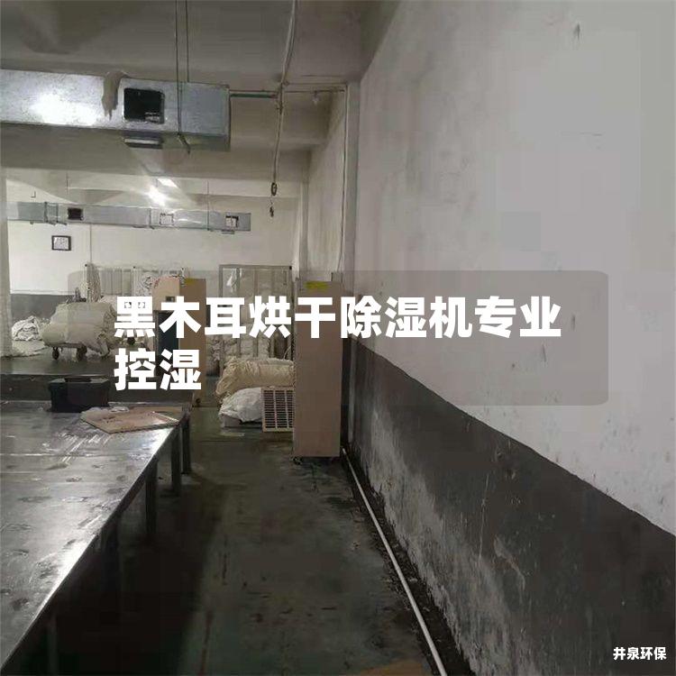黑木耳烘干除濕機(jī)專業(yè)控濕