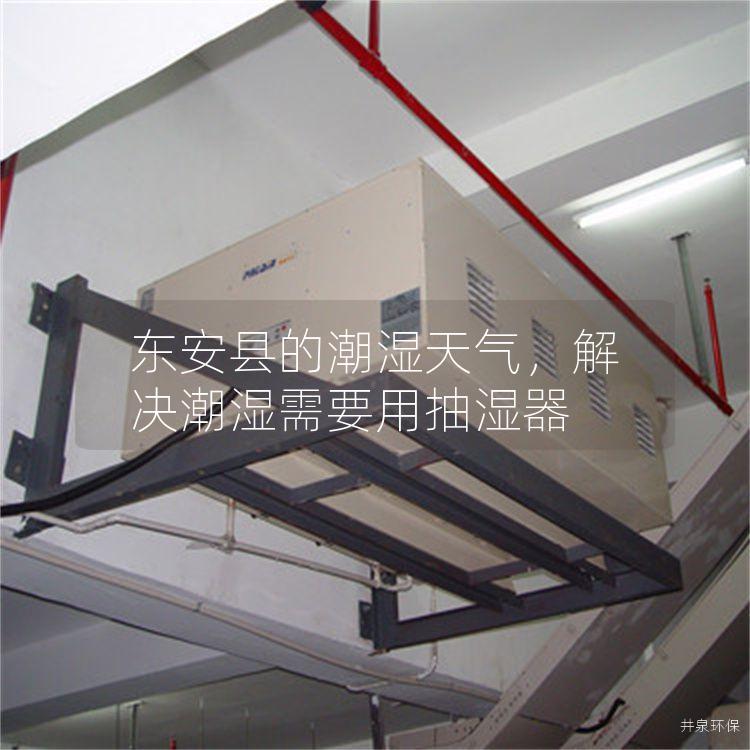 东安县的潮湿天气，解决潮湿需要用抽湿器