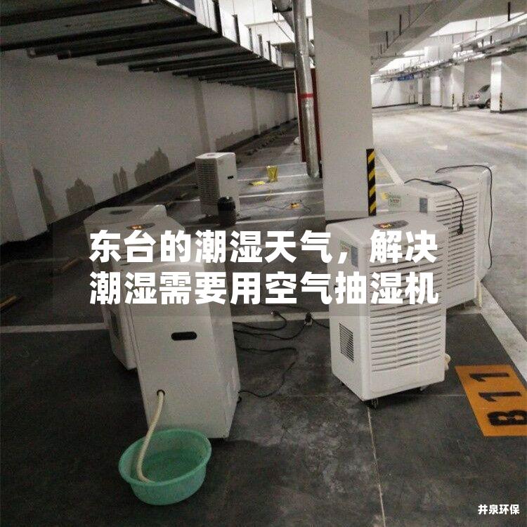 东台的潮湿天气，解决潮湿需要用空气抽湿机