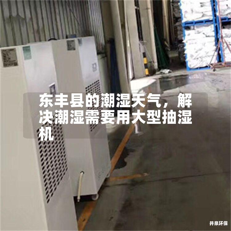 东丰县的潮湿天气，解决潮湿需要用大型抽湿机