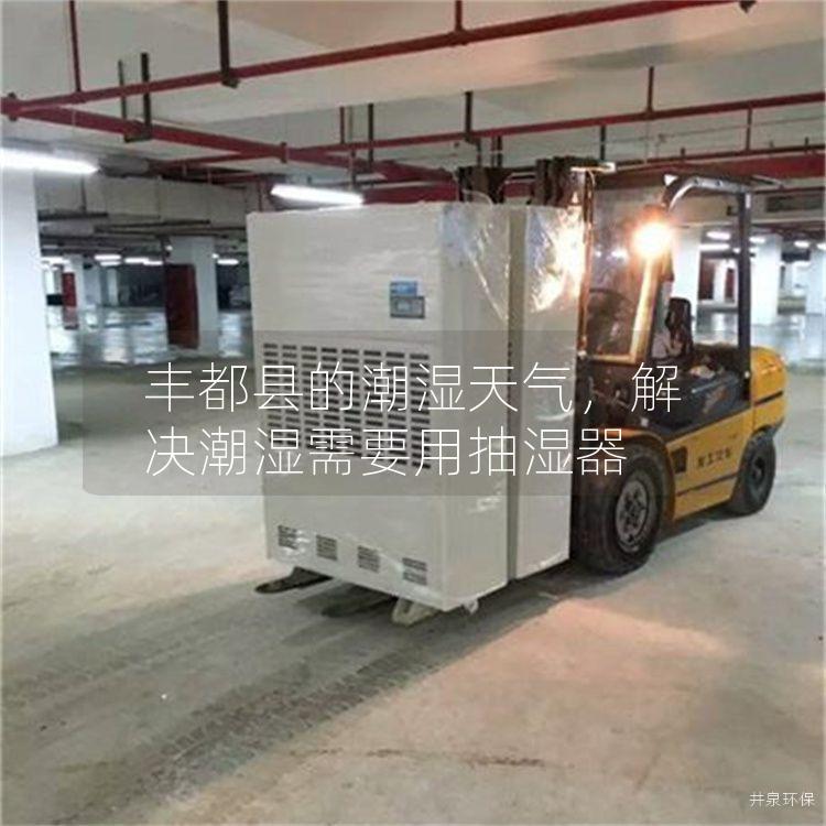 豐都縣的潮濕天氣，解決潮濕需要用抽濕器