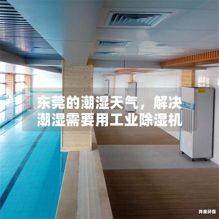 东莞的潮湿天气，解决潮湿需要用工业除湿机