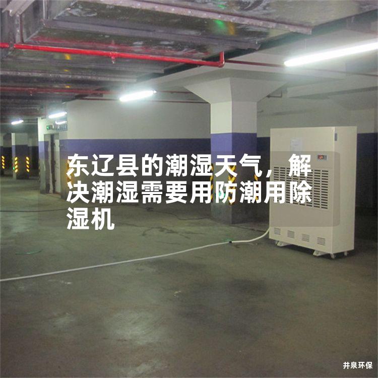 東遼縣的潮濕天氣，解決潮濕需要用防潮用除濕機