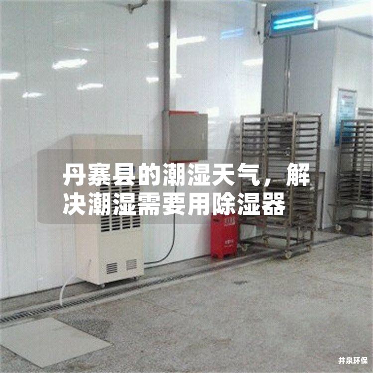 丹寨縣的潮濕天氣，解決潮濕需要用除濕器