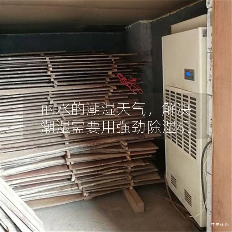 丽水的潮湿天气，解决潮湿需要用强劲除湿机